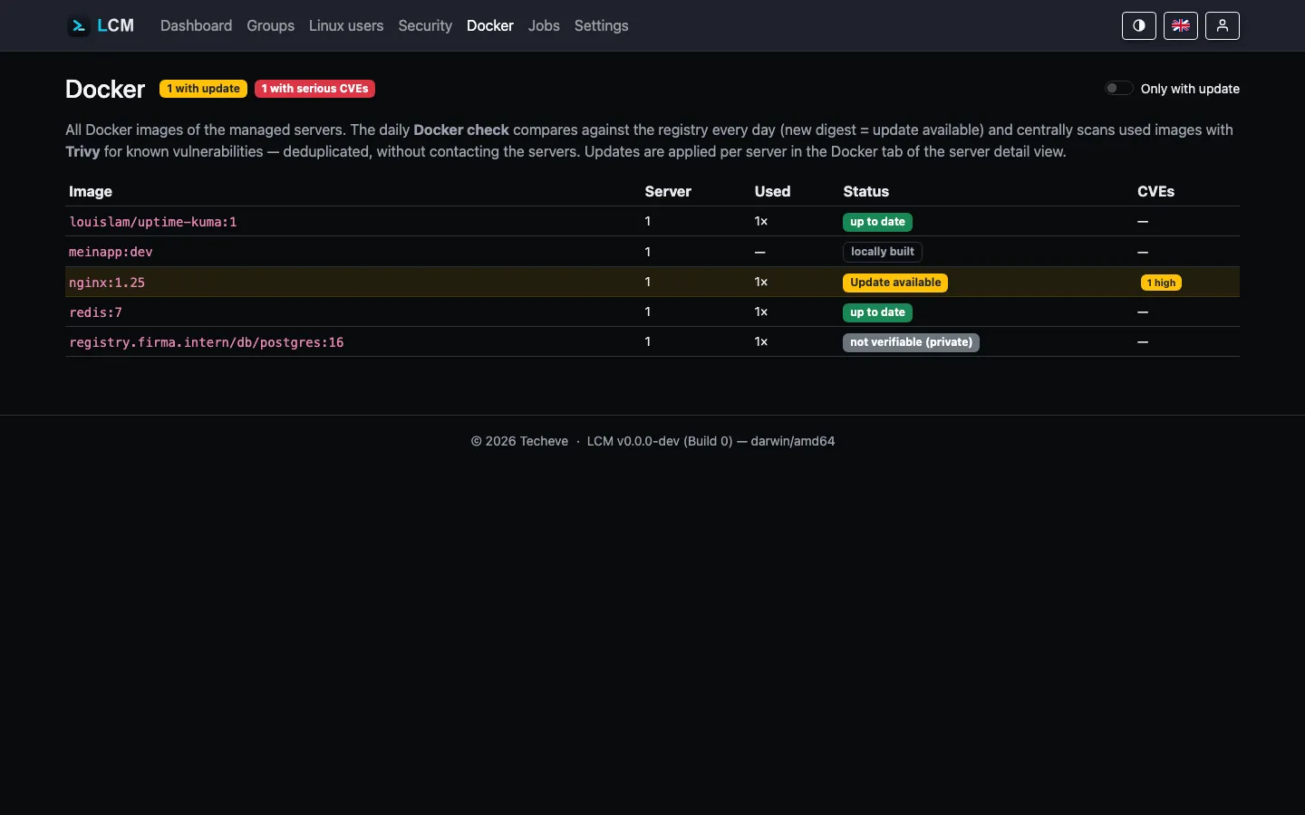 Global Docker overview with update and CVE status per image