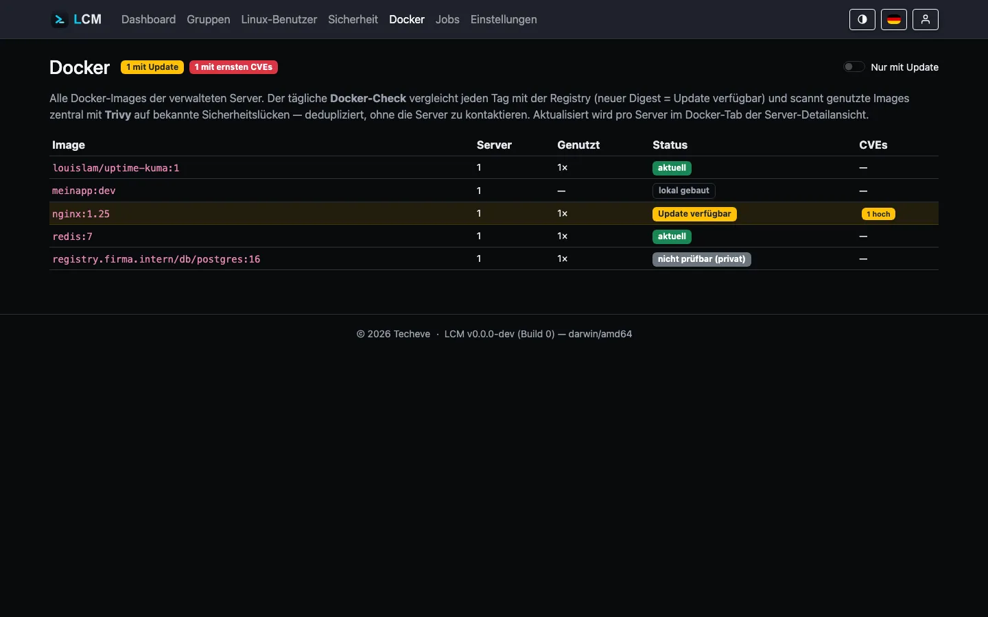 Globale Docker-Übersicht mit Update- und CVE-Status je Image