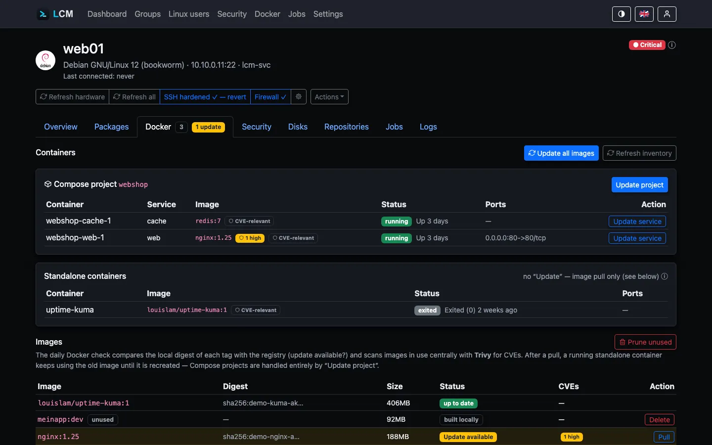 Docker tab of a server: Compose project, standalone container and images