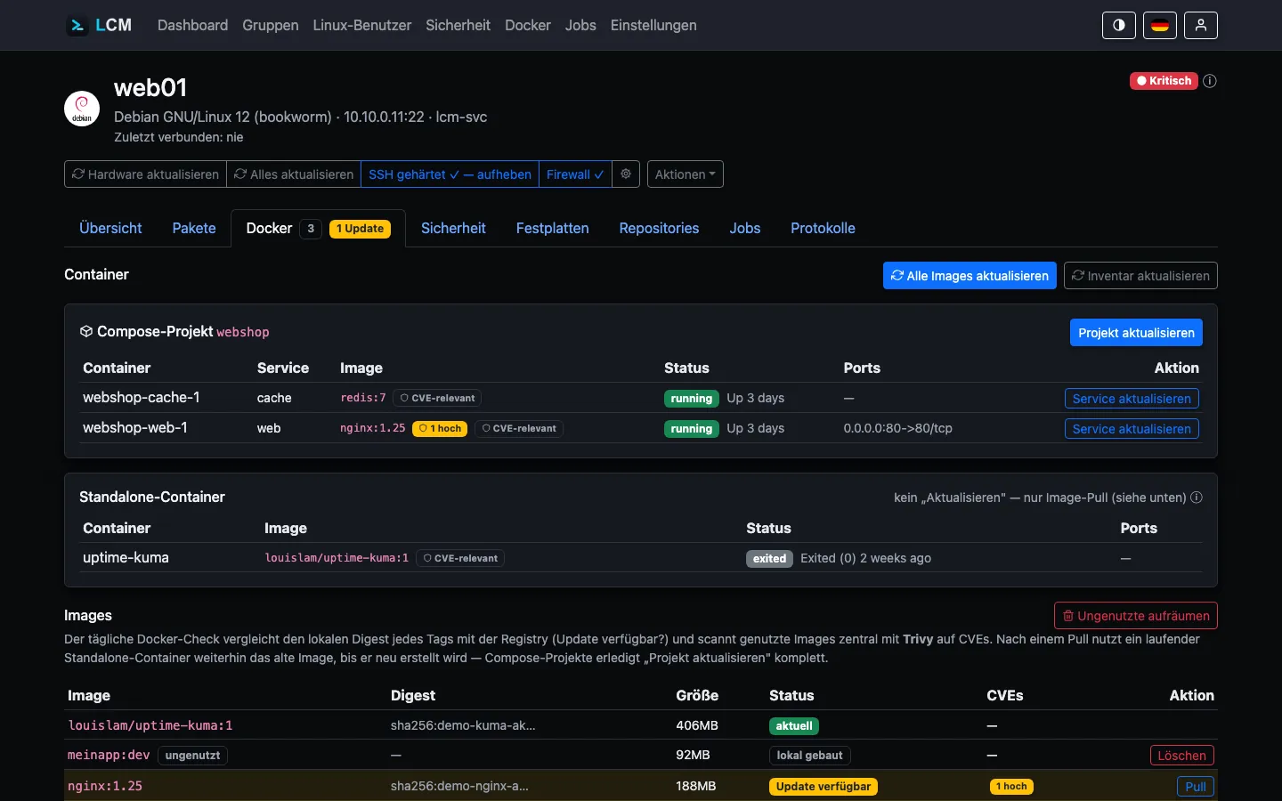 Docker-Tab eines Servers: Compose-Projekt, Standalone-Container und Images