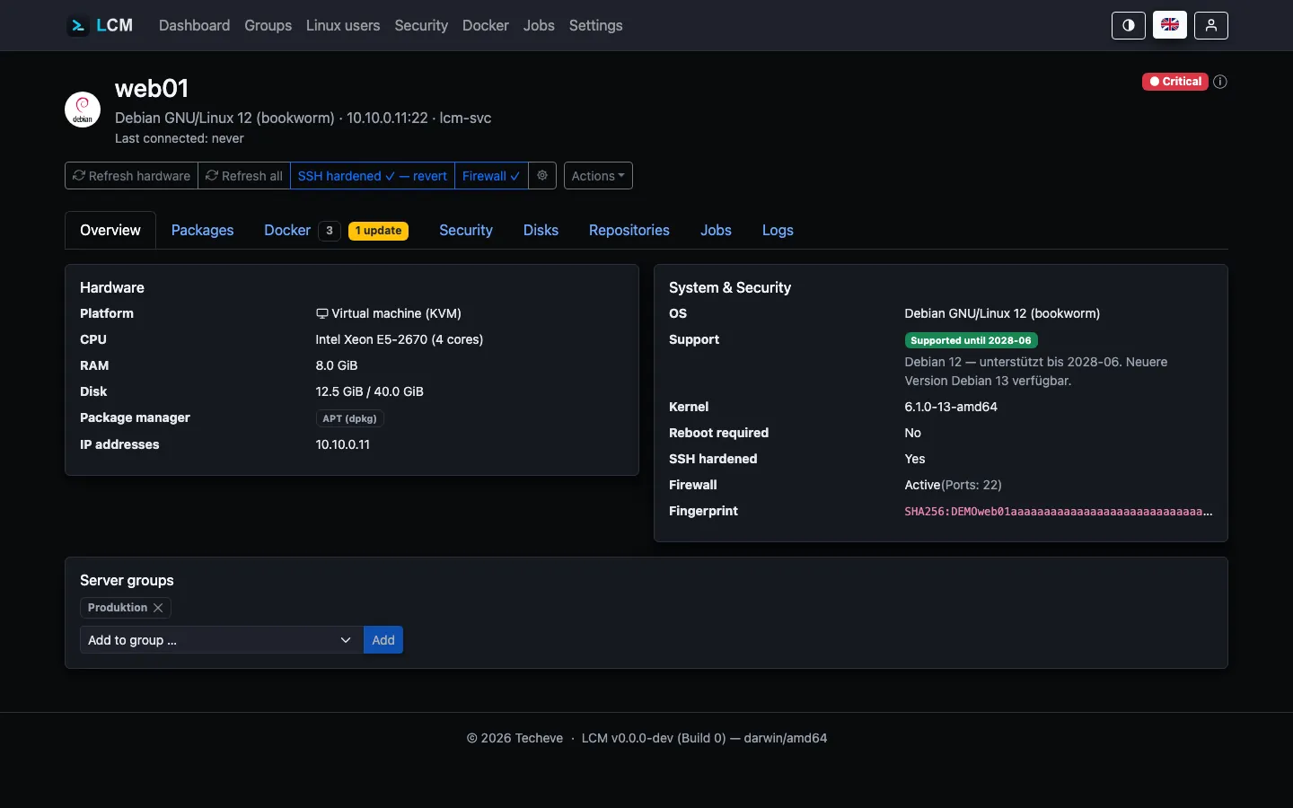 Server detail page: hardware, system & security, status badge